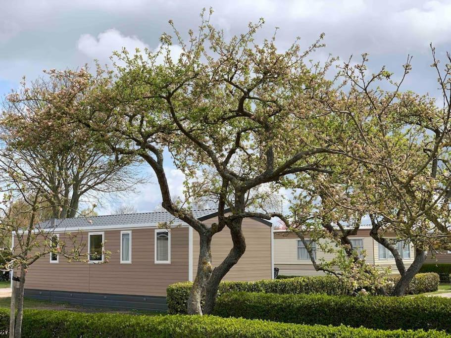 Gezellig Chalet In Het Mooie Zeeland - Oostkapelle Luaran gambar